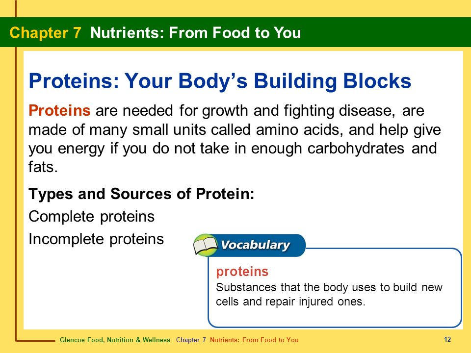 Proteins: Your Body’s Building Blocks