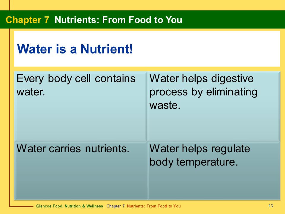 Water is a Nutrient! Every body cell contains water.