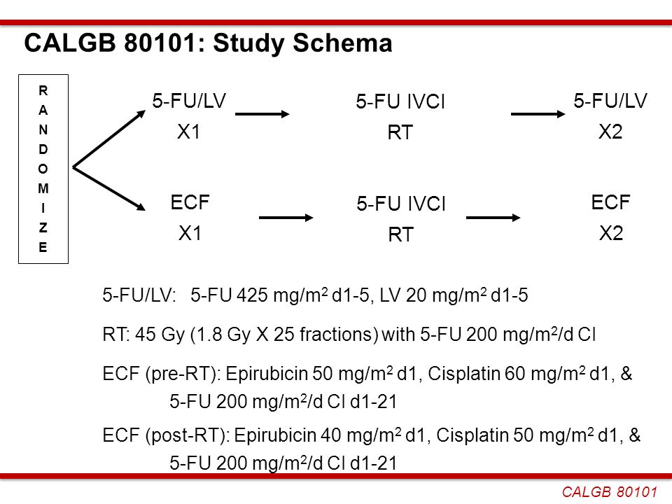 CALGB 80101: Study Schema 5-FU/LV X1 5-FU IVCI RT 5-FU/LV X2 ECF X1