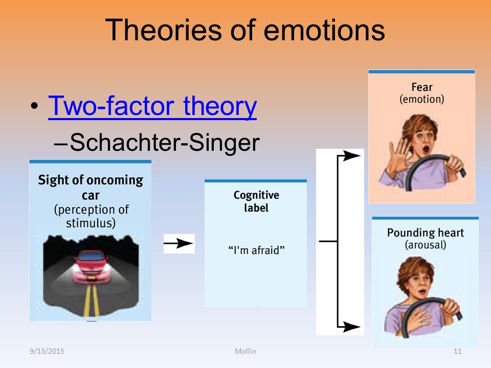 schachters two factor theory of emotion