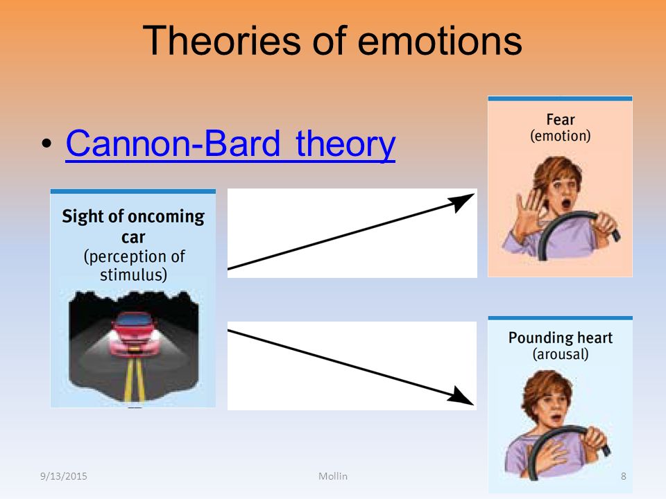 cannon bard theory of emotion example