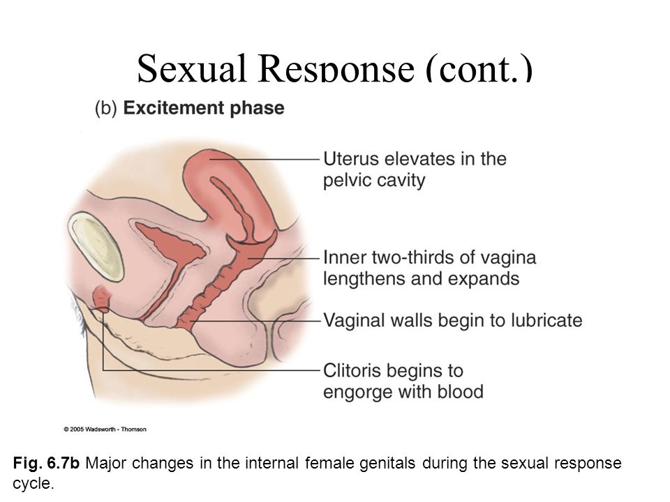 Whip Around What Is Your Favorite Physical Characteristic On A Person