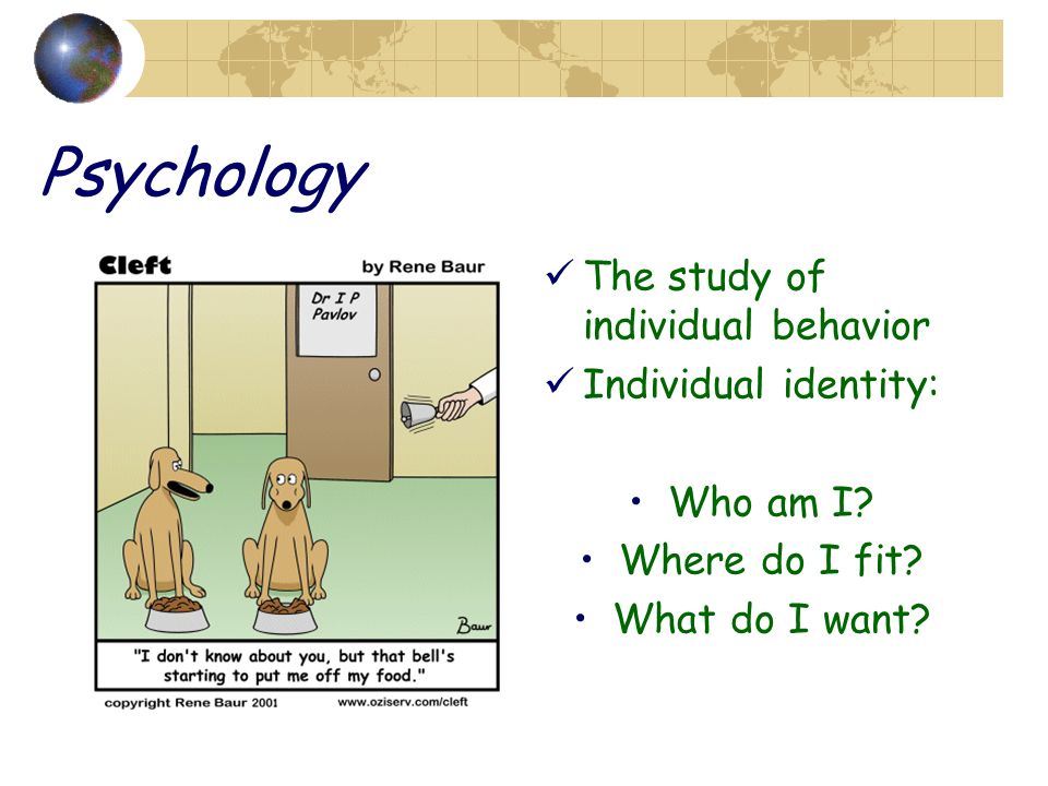 Psychology The study of individual behavior Individual identity: