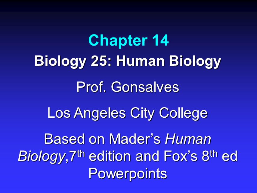 Chapter 14 Biology 25: Human Biology Prof. Gonsalves