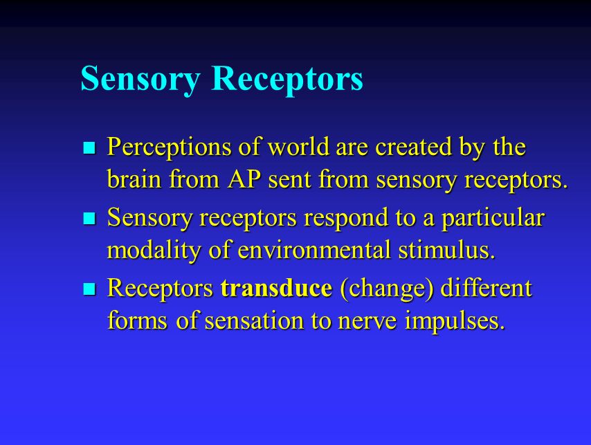 Sensory Receptors Perceptions of world are created by the brain from AP sent from sensory receptors.