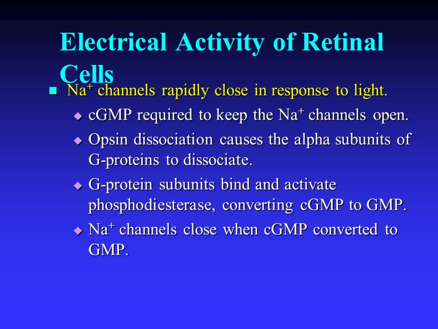 Electrical Activity of Retinal Cells