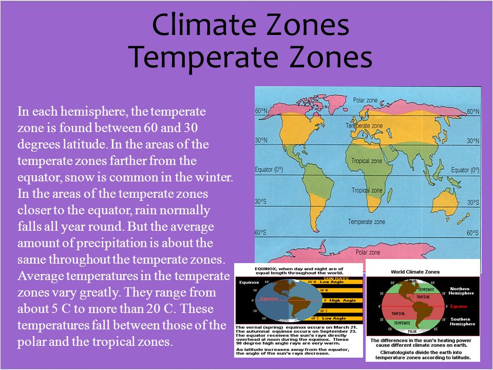 Temperate weather