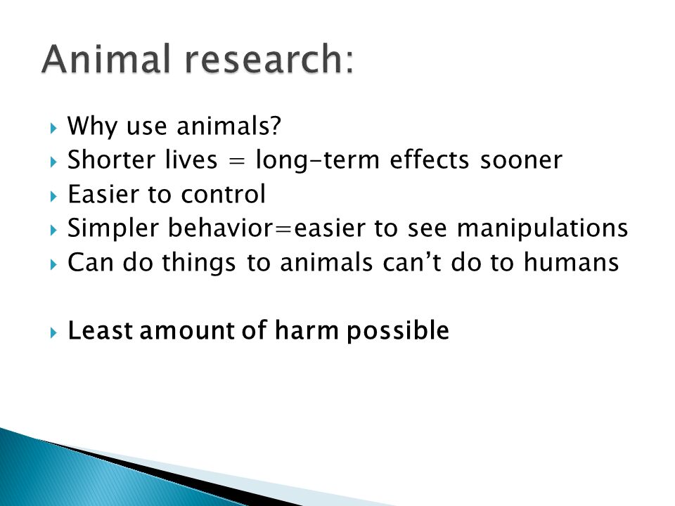 Animal research: Why use animals