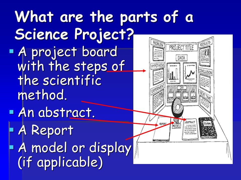 What are the parts of a Science Project