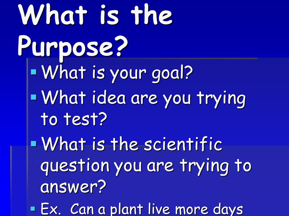 What is the Purpose What is your goal