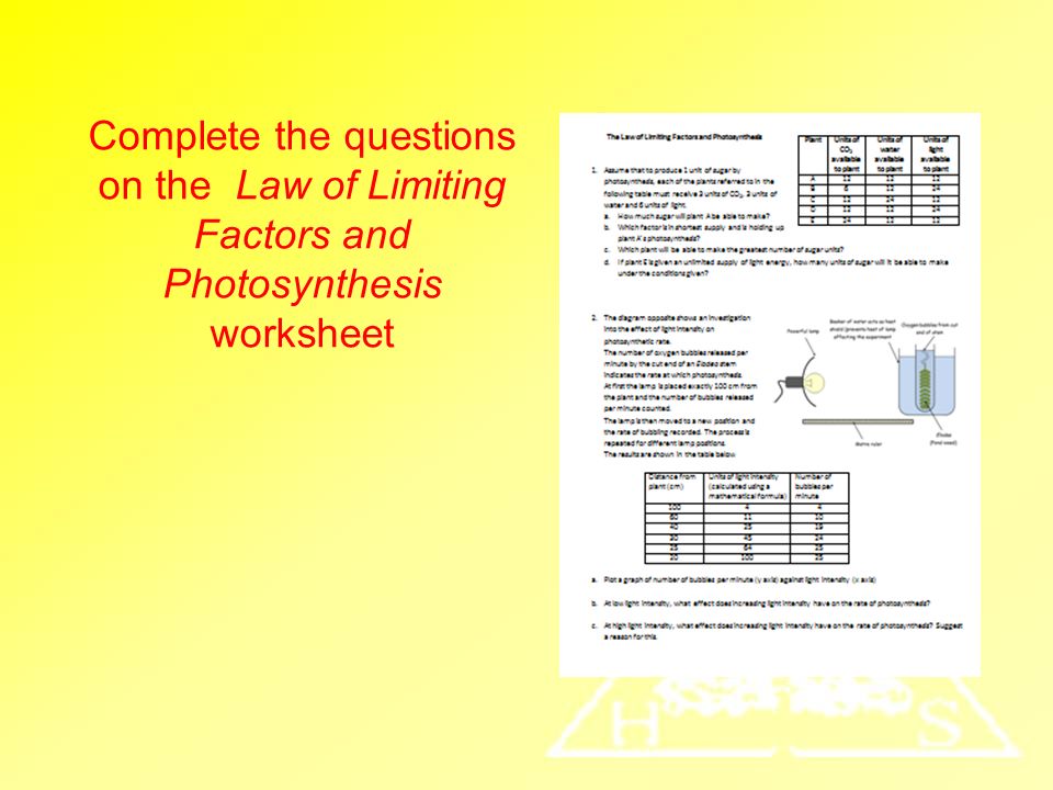 Worksheets Photosynthesis