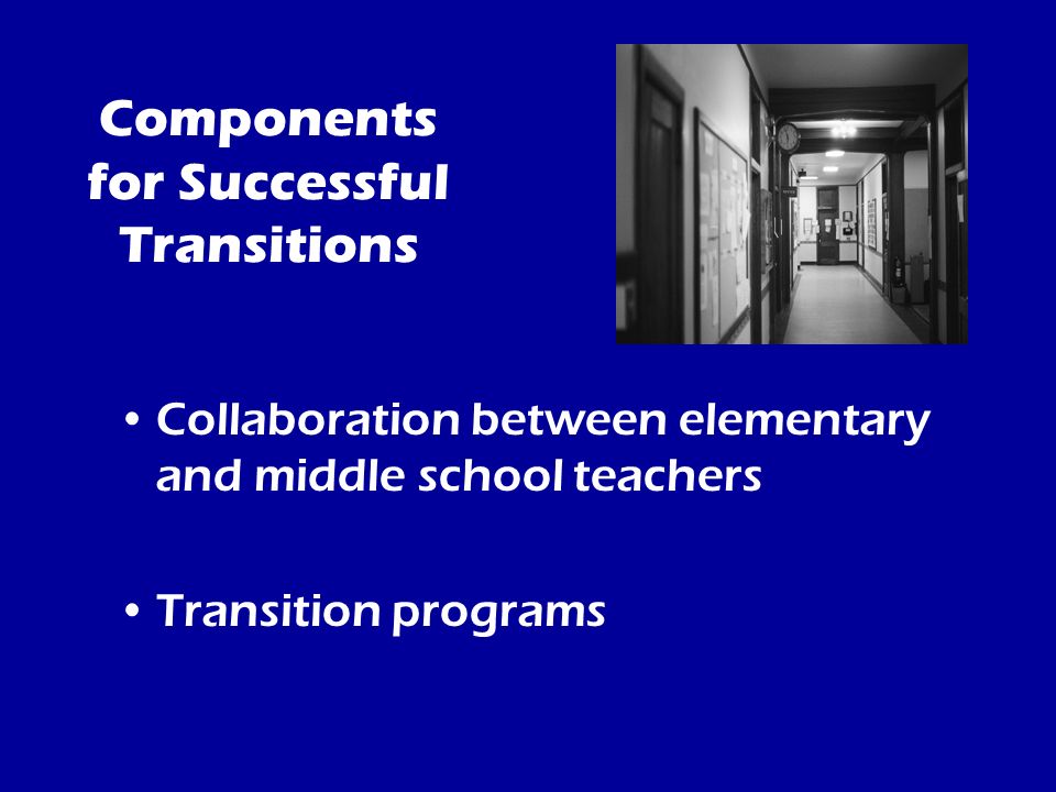 Components for Successful Transitions