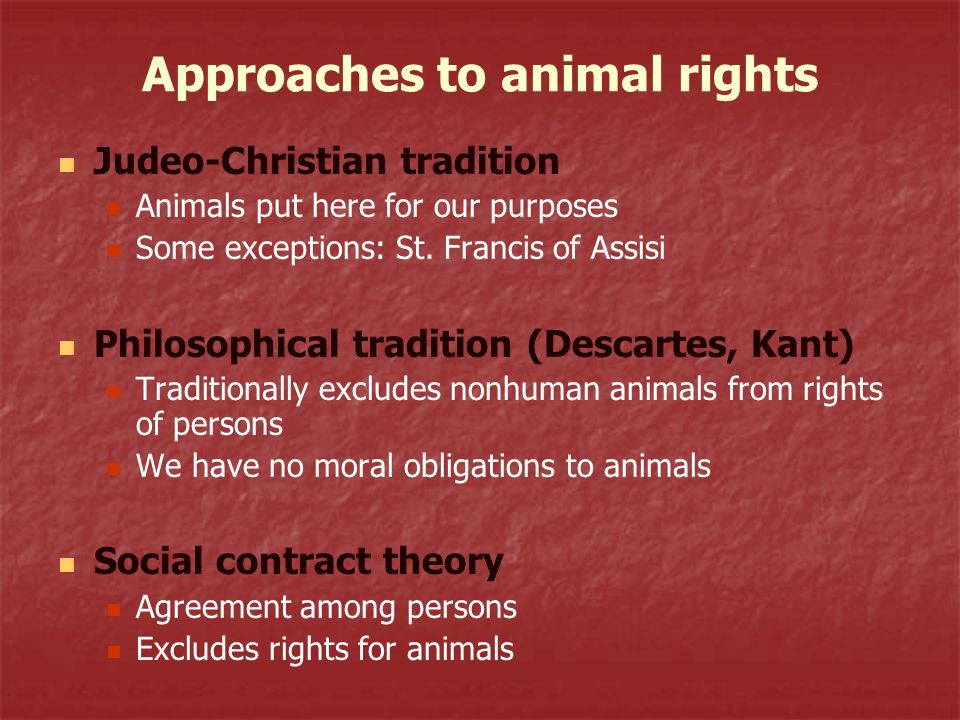 Chapter Eleven: Animal Rights and Environmental Ethics - ppt video online  download
