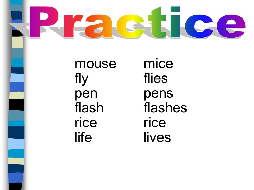mouse mice fly flies pen pens flash flashes rice rice life lives