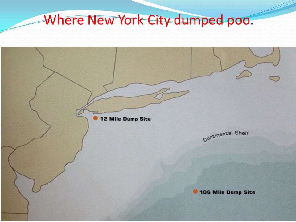 Where New York City dumped poo.