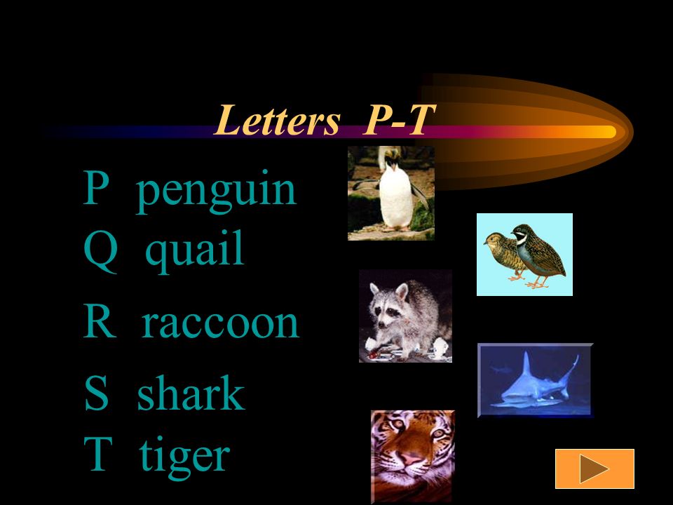 Alphabet Animals In these pages you will find animals whose names begin  with letters of the alphabet. Have fun! - ppt video online download