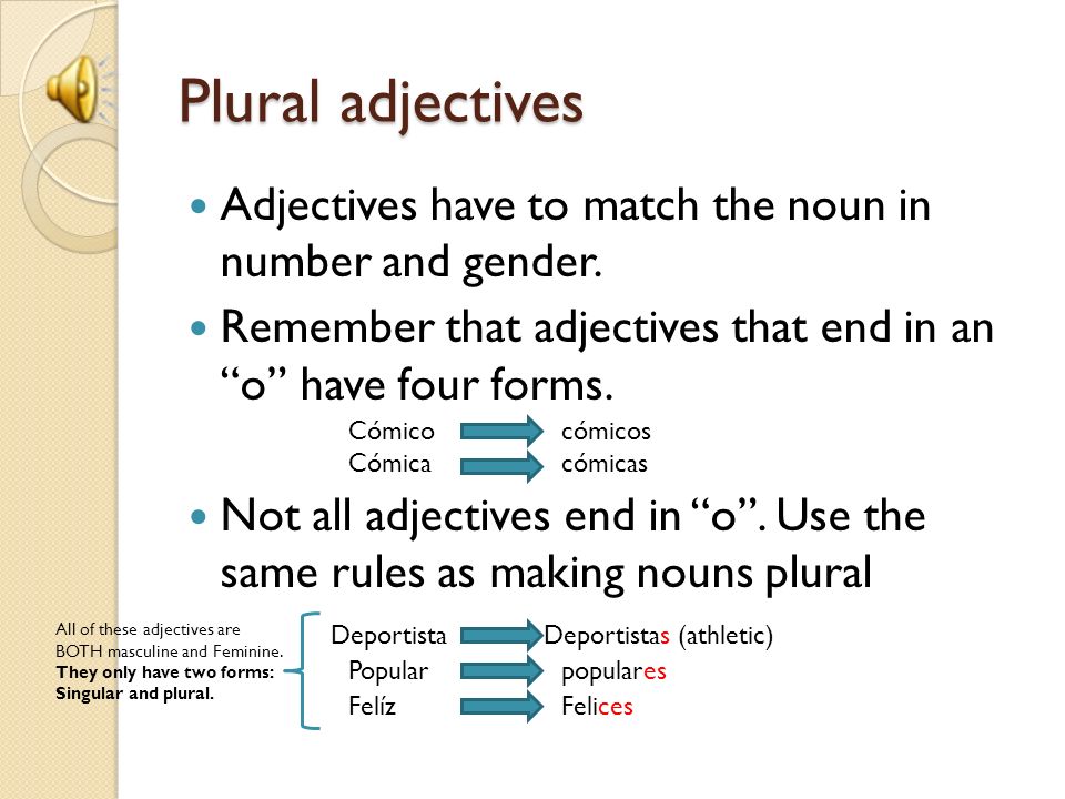 Plural adjectives Adjectives have to match the noun in number and gender. Remember that adjectives that end in an o have four forms.