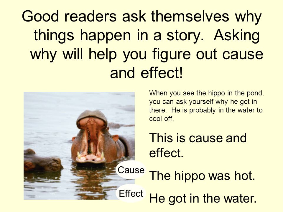 Good readers ask themselves why things happen in a story