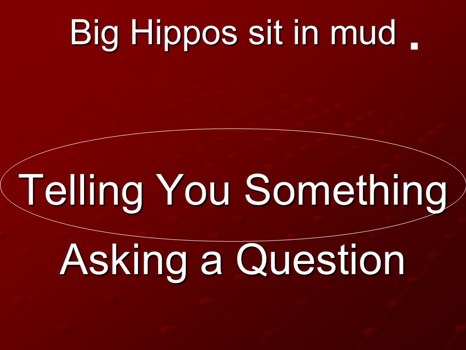 . Big Hippos sit in mud Telling You Something Asking a Question