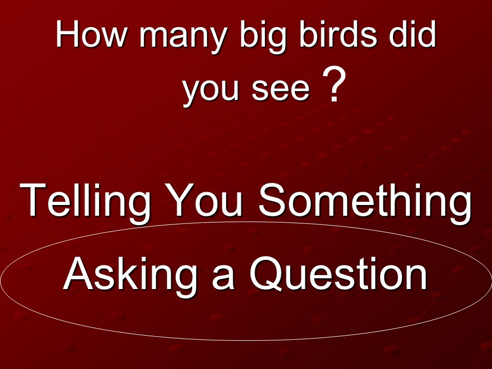 Telling You Something Asking a Question How many big birds did