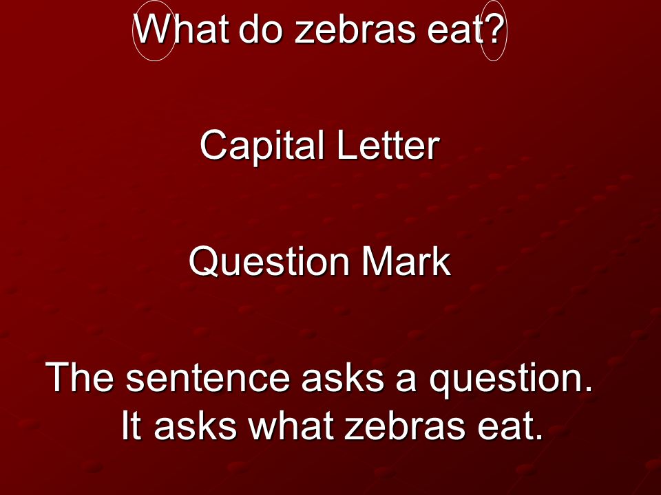 The sentence asks a question. It asks what zebras eat.