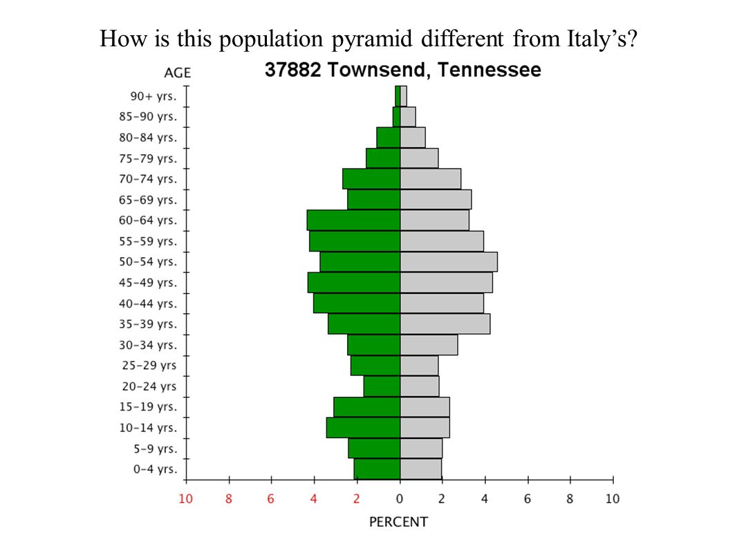 Population Pyramid Worksheet Answers