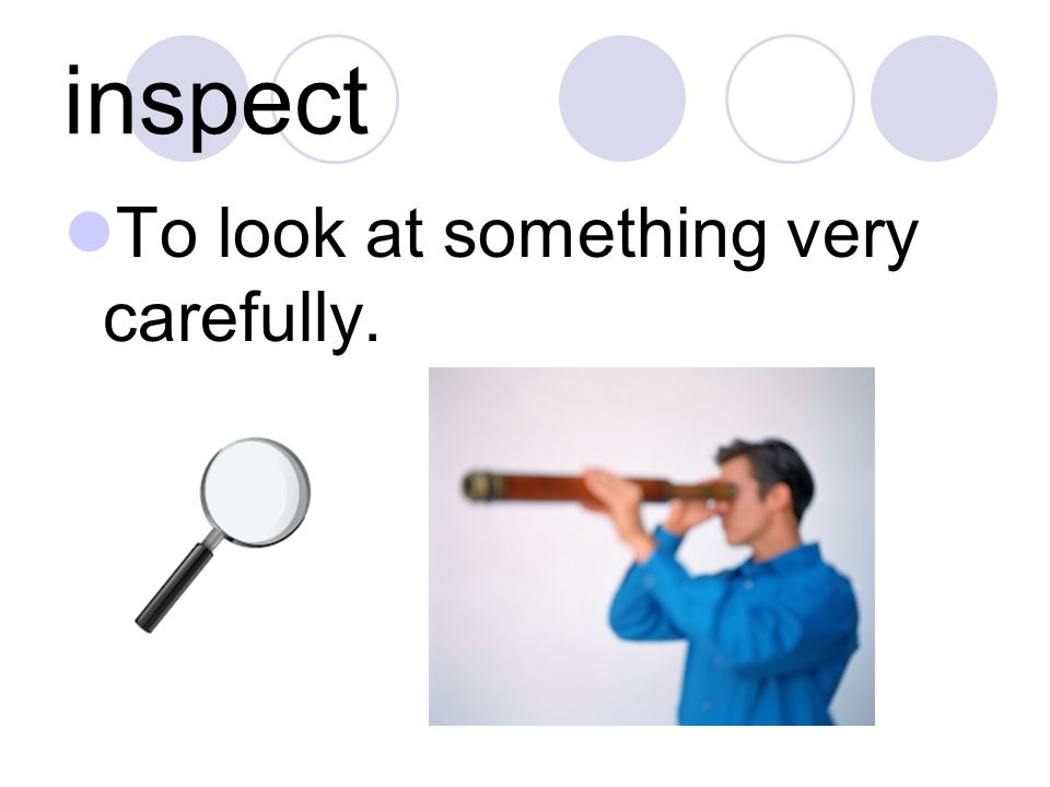 inspect To look at something very carefully.