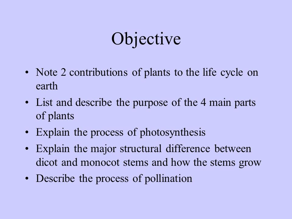 Objective Note 2 contributions of plants to the life cycle on earth