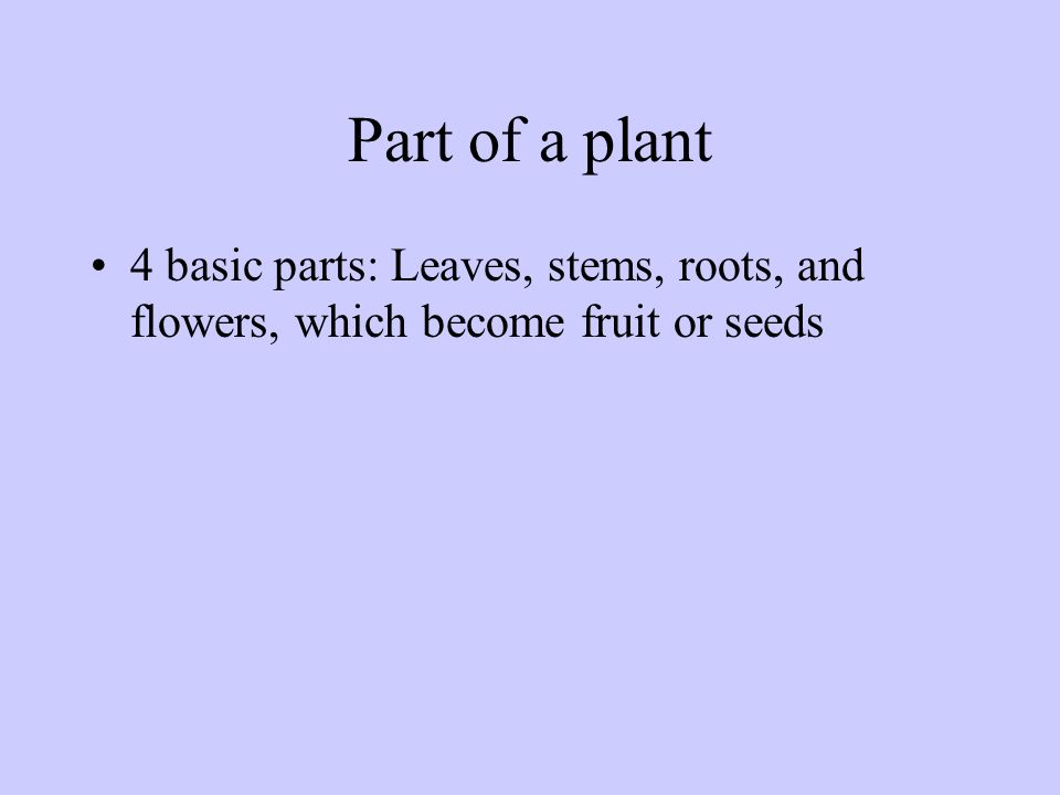 Part of a plant 4 basic parts: Leaves, stems, roots, and flowers, which become fruit or seeds
