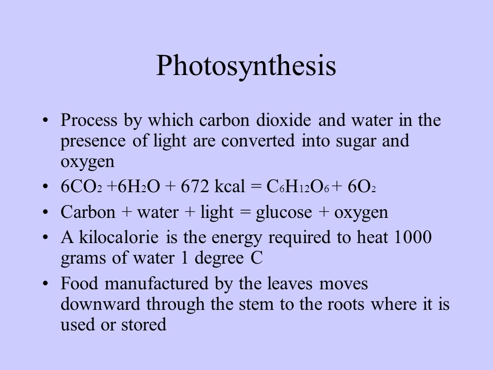 Photosynthesis Process by which carbon dioxide and water in the presence of light are converted into sugar and oxygen.
