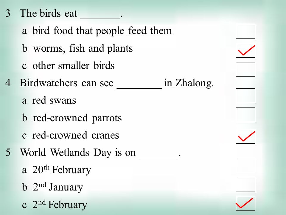 The birds eat _______. a bird food that people feed them. b worms, fish and plants. c other smaller birds.