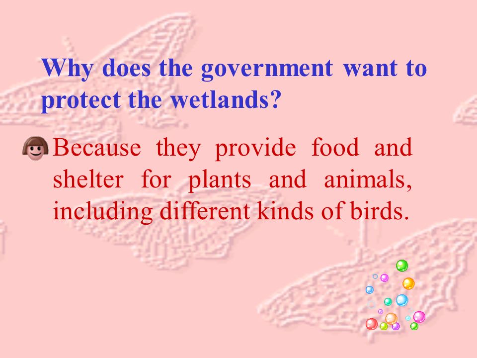 Why does the government want to protect the wetlands