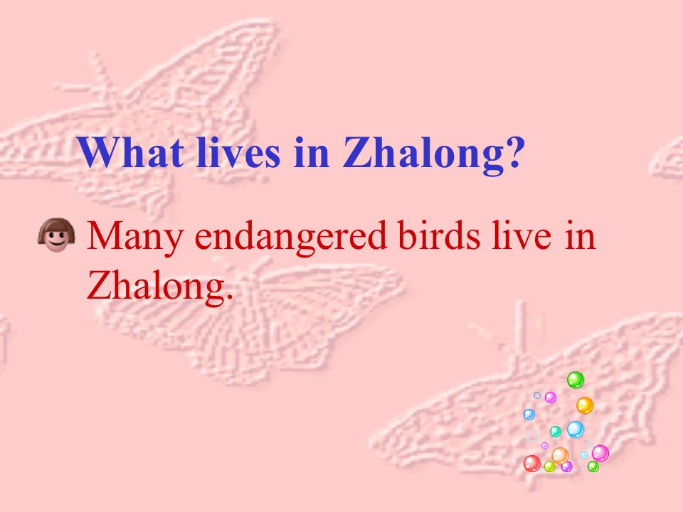 What lives in Zhalong Many endangered birds live in Zhalong.