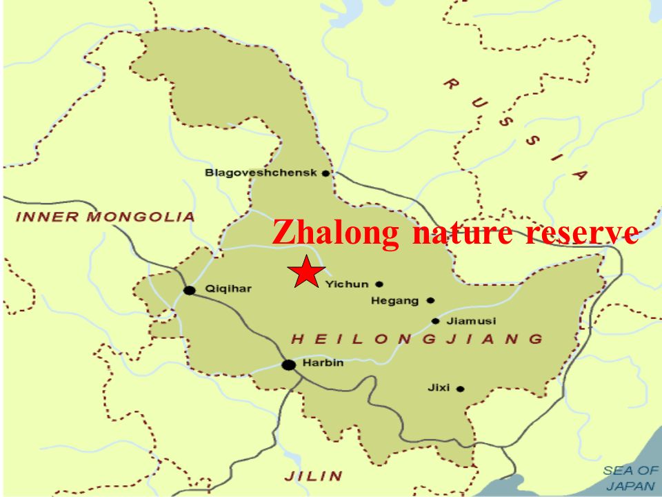 Zhalong nature reserve