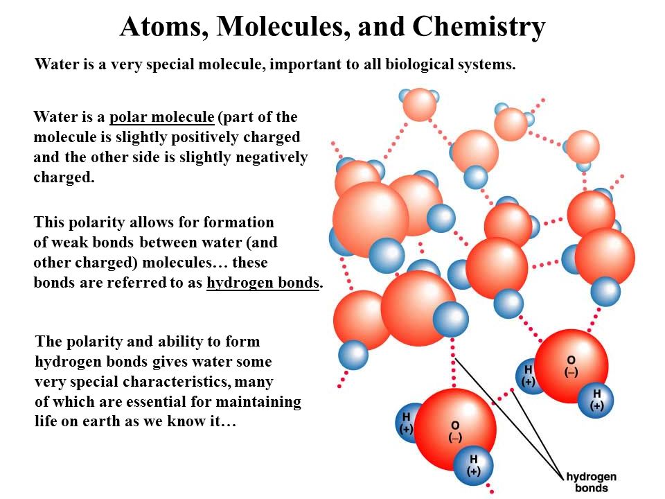 Чем отличается молекула. Atoms and molecules. Diatomic molecules. Игра молекулы и атомы для детей. Atom in a molecule.
