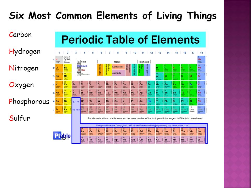Common elements. The four most common elements in Living Organism.
