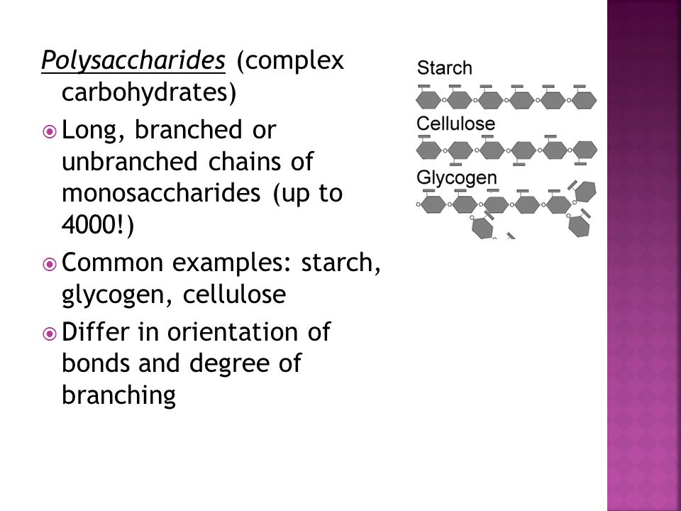Polysaccharides (complex carbohydrates)