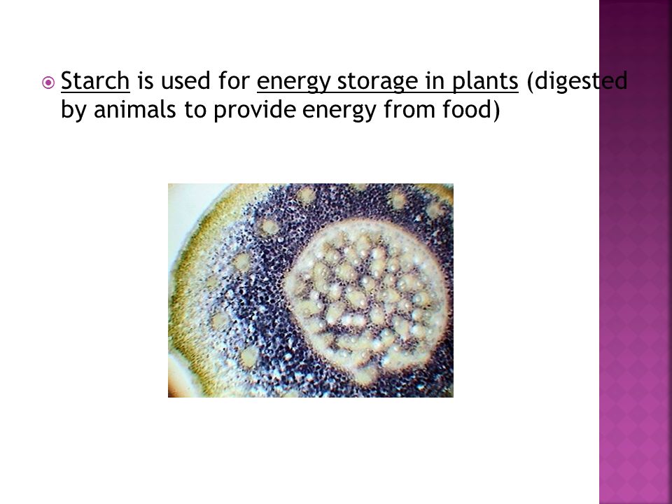 Starch is used for energy storage in plants (digested by animals to provide energy from food)