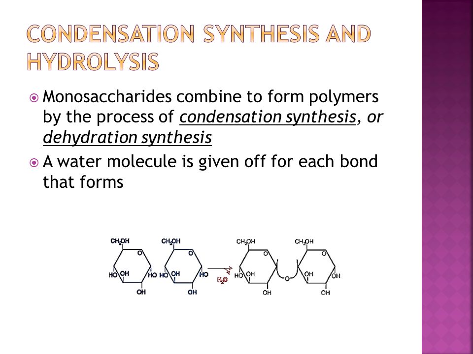 Condensation Synthesis and Hydrolysis