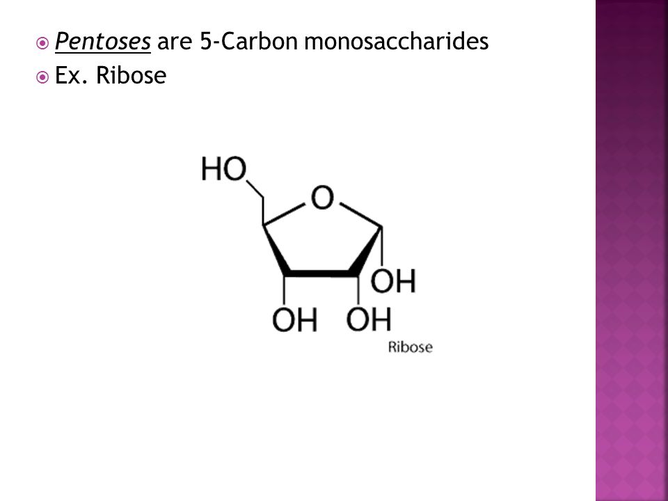 Pentoses are 5-Carbon monosaccharides