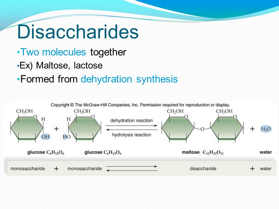 Disaccharides Two molecules together Formed from dehydration synthesis