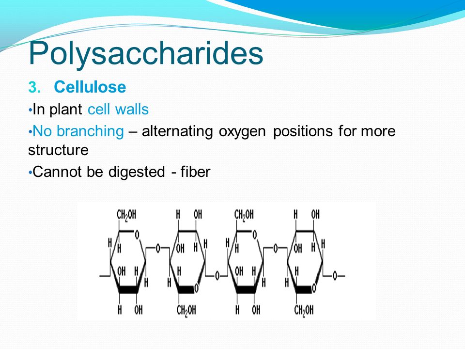 Polysaccharides Cellulose In plant cell walls