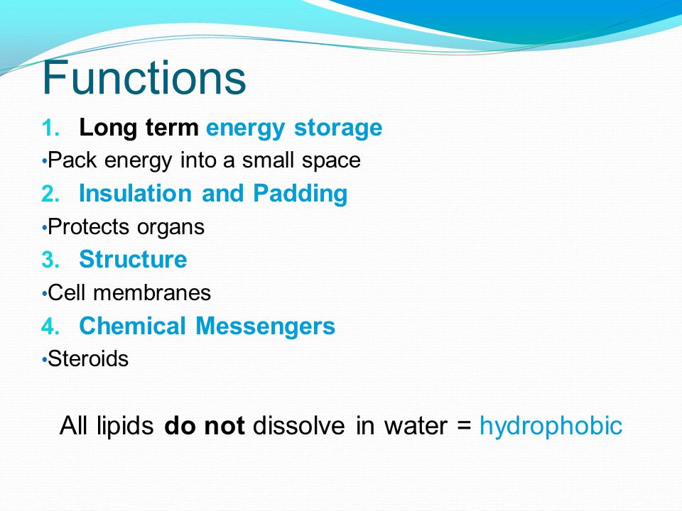 All lipids do not dissolve in water = hydrophobic