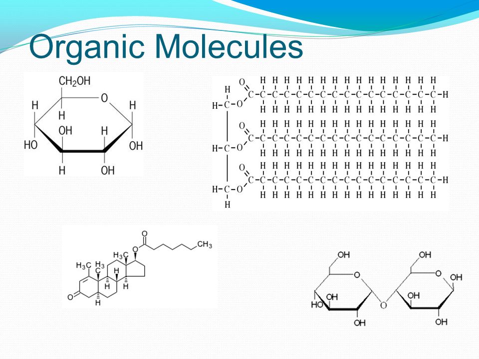 Organic Molecules Glucose, triglyceride/fat. Steroid (cholesterol), dissacharide (lactose ) *