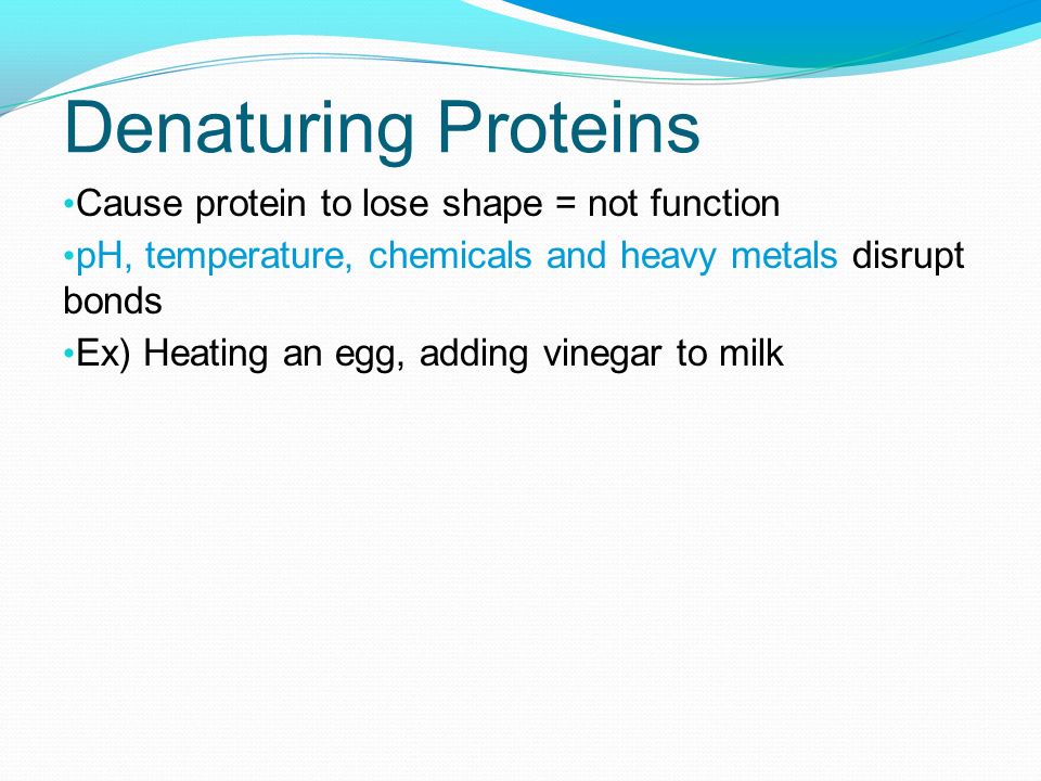Denaturing Proteins Cause protein to lose shape = not function