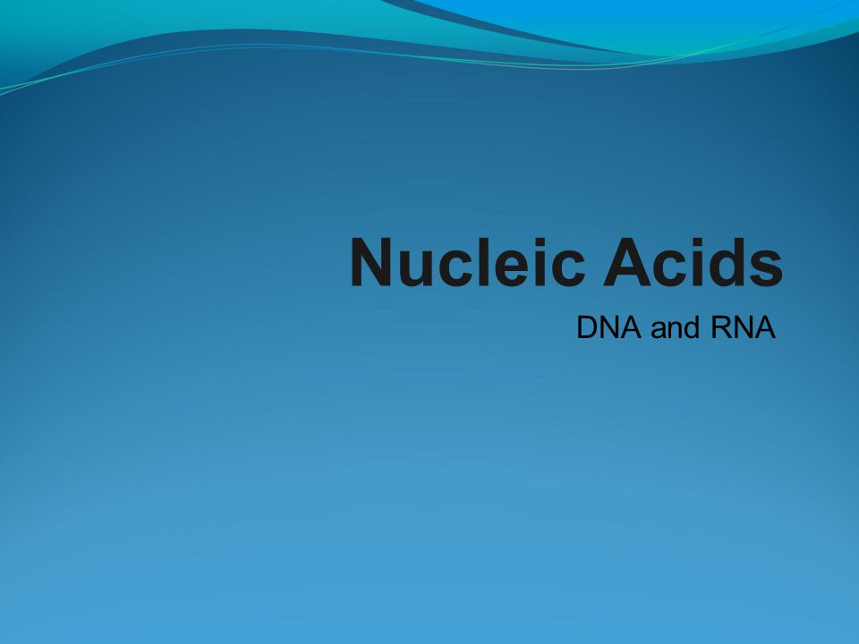 Nucleic Acids DNA and RNA