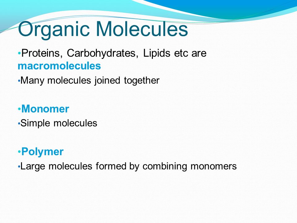 Organic Molecules Proteins, Carbohydrates, Lipids etc are macromolecules. Many molecules joined together.