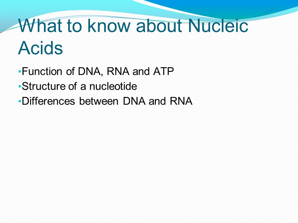 What to know about Nucleic Acids