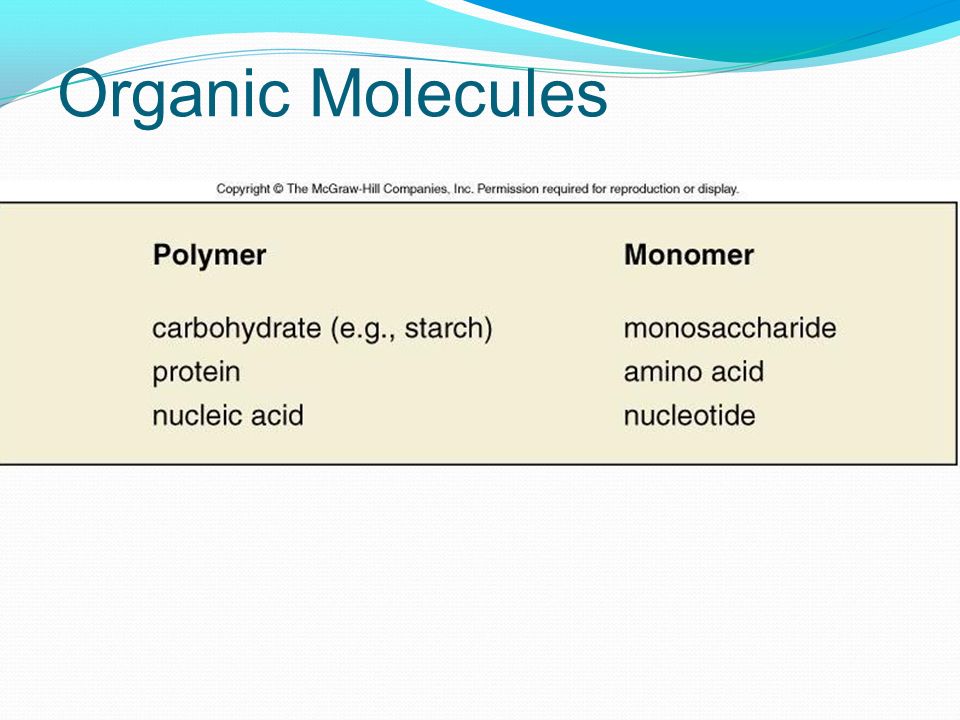 Organic Molecules Shows the monomers that make up each polymer *