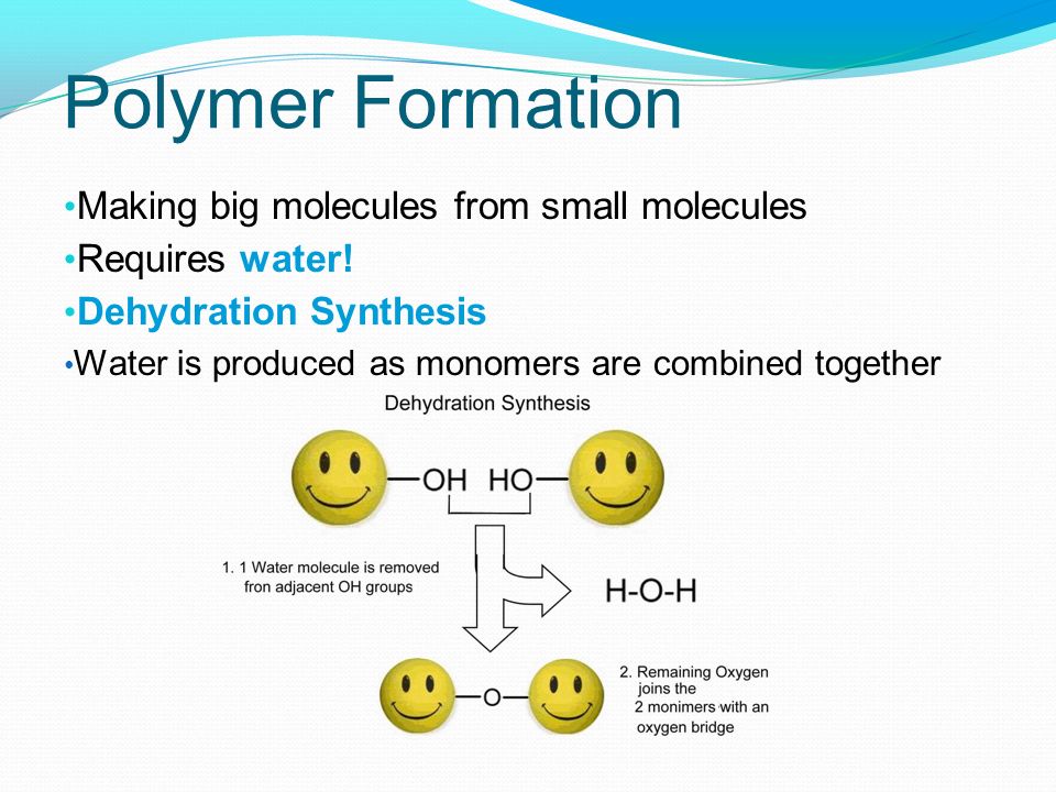 Polymer Formation Making big molecules from small molecules